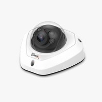 2MP IP Pro Mini Dome